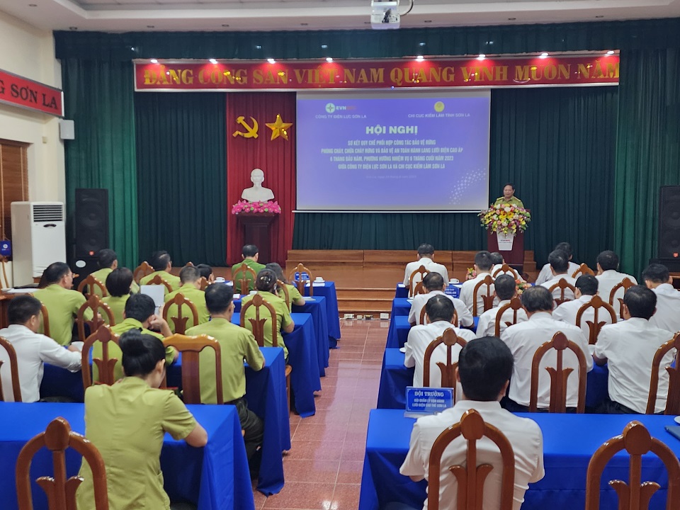 Tăng cường phối hợp bảo vệ rừng, PCCCR và bảo vệ an toàn hành lang lưới điện cao áp
